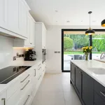 Navy island with inset sink facing sliding doors to the garden